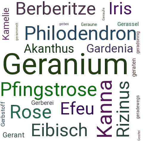 Ein anderes Wort für Geranium - Synonym Geranium