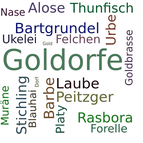 Ein anderes Wort für Goldorfe - Synonym Goldorfe