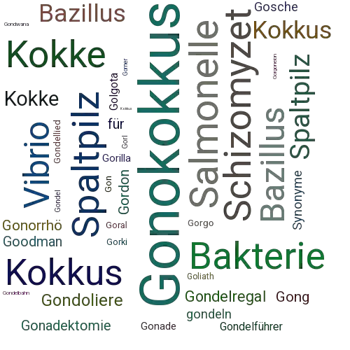 Ein anderes Wort für Gonokokkus - Synonym Gonokokkus