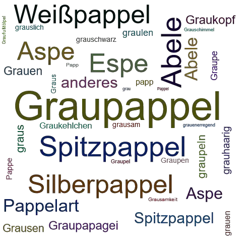 Ein anderes Wort für Graupappel - Synonym Graupappel