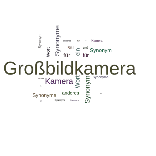 Ein anderes Wort für Großbildkamera - Synonym Großbildkamera