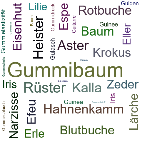 Ein anderes Wort für Gummibaum - Synonym Gummibaum