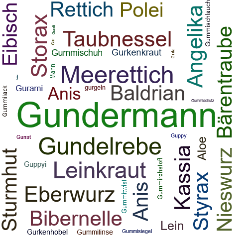 Ein anderes Wort für Gundermann - Synonym Gundermann