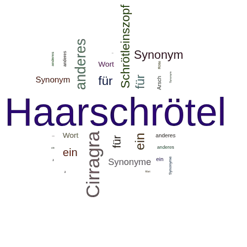 Ein anderes Wort für Haarschrötel - Synonym Haarschrötel