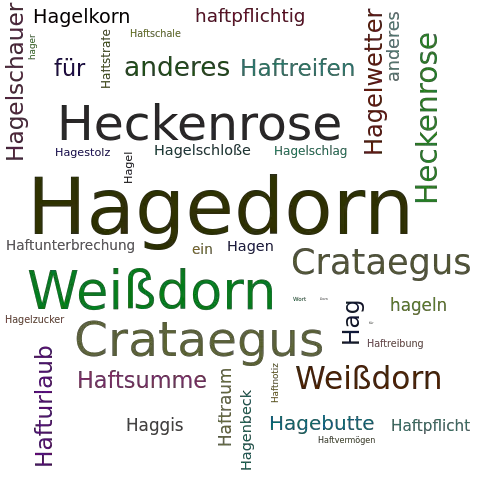 Ein anderes Wort für Hagedorn - Synonym Hagedorn
