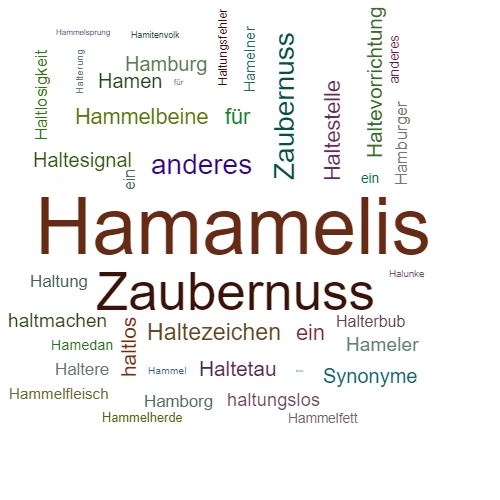 Ein anderes Wort für Hamamelis - Synonym Hamamelis
