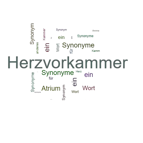 Ein anderes Wort für Herzvorkammer - Synonym Herzvorkammer