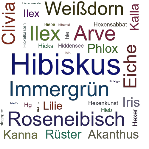 Ein anderes Wort für Hibiskus - Synonym Hibiskus