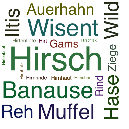 Ein anderes Wort für Hirsch - Synonym Hirsch