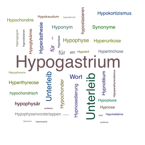 Ein anderes Wort für Hypogastrium - Synonym Hypogastrium