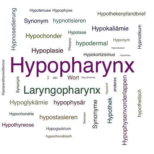 Ein anderes Wort für Hypopharynx - Synonym Hypopharynx