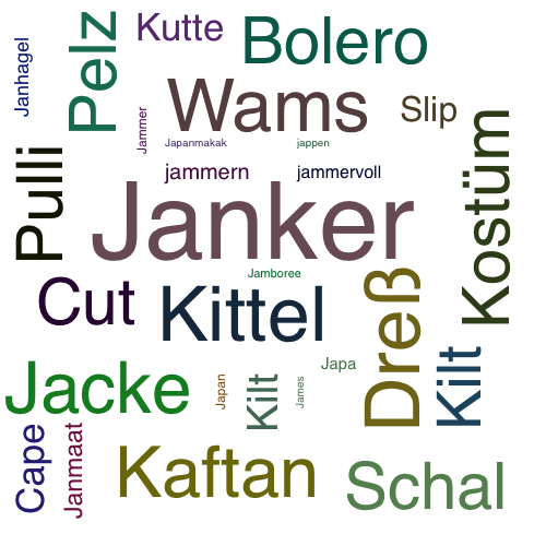 Ein anderes Wort für Janker - Synonym Janker