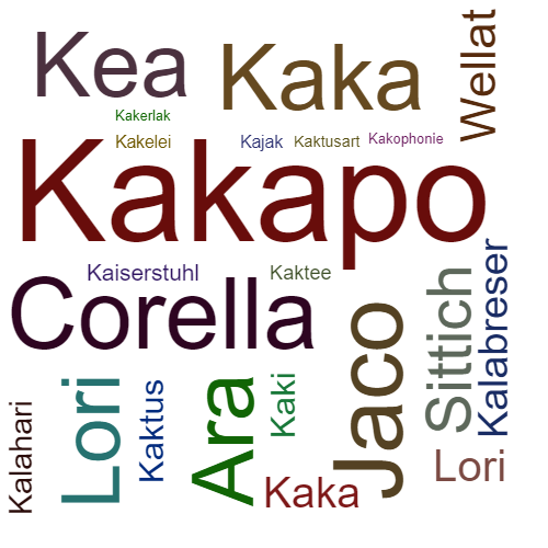 Ein anderes Wort für Kakapo - Synonym Kakapo