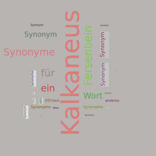 Ein anderes Wort für Kalkaneus - Synonym Kalkaneus