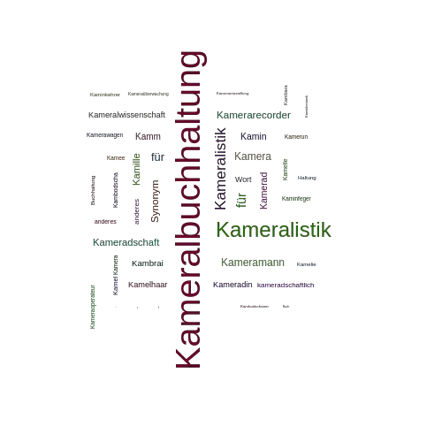 Ein anderes Wort für Kameralbuchhaltung - Synonym Kameralbuchhaltung