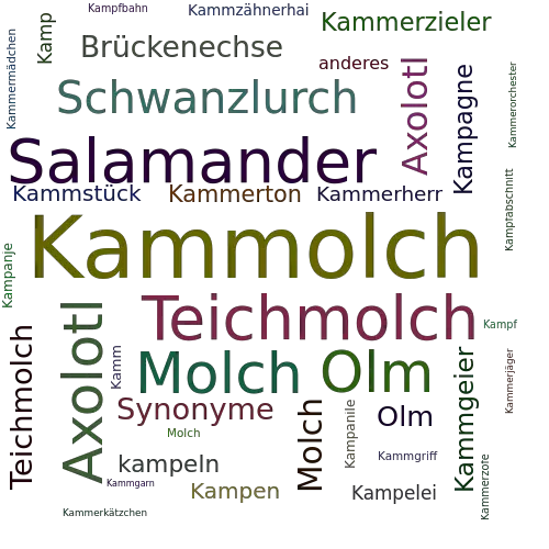 Ein anderes Wort für Kammolch - Synonym Kammolch