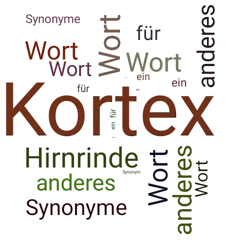 Ein anderes Wort für Kortex - Synonym Kortex