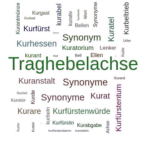Ein anderes Wort für Kurbellenkerachse - Synonym Kurbellenkerachse