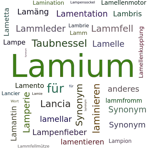Ein anderes Wort für Lamium - Synonym Lamium