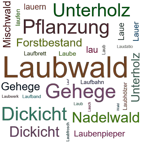 Ein anderes Wort für Laubwald - Synonym Laubwald