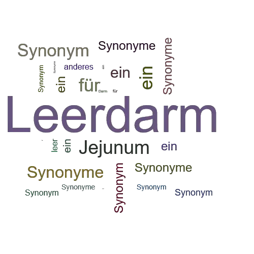 Ein anderes Wort für Leerdarm - Synonym Leerdarm