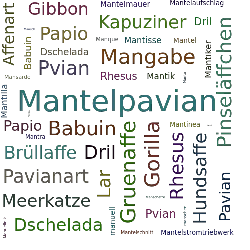 Ein anderes Wort für Mantelpavian - Synonym Mantelpavian