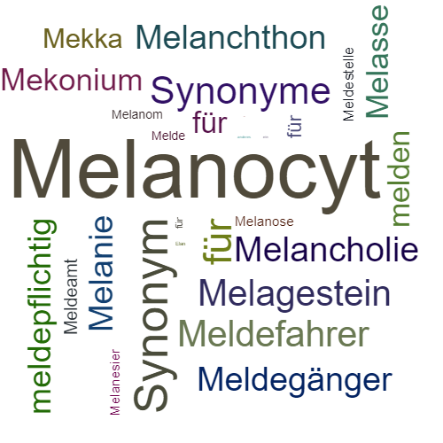 Ein anderes Wort für Melanozyt - Synonym Melanozyt