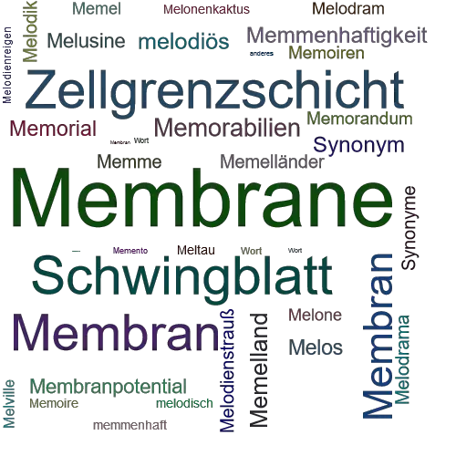 Ein anderes Wort für Membrane - Synonym Membrane