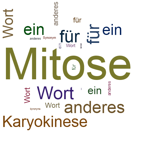 Ein anderes Wort für Mitose - Synonym Mitose