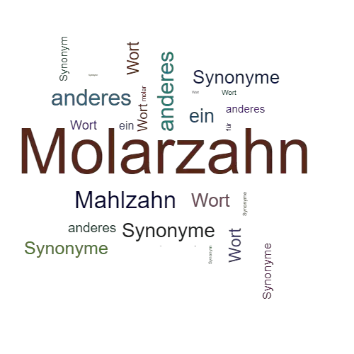 Ein anderes Wort für Molarzahn - Synonym Molarzahn