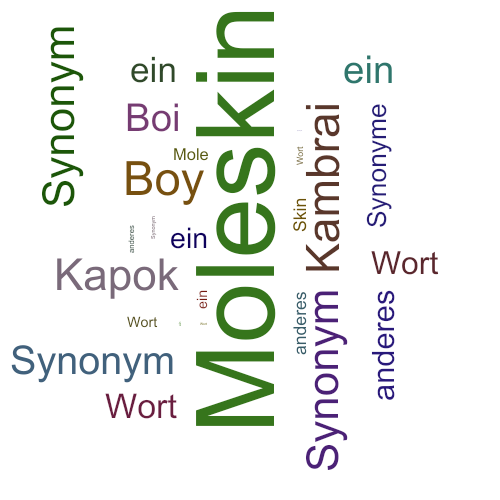 Ein anderes Wort für Moleskin - Synonym Moleskin