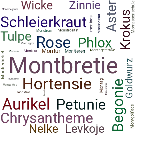 Ein anderes Wort für Montbretie - Synonym Montbretie