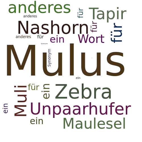 Ein anderes Wort für Mulus - Synonym Mulus