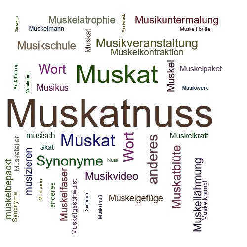 Ein anderes Wort für Muskatnuss - Synonym Muskatnuss