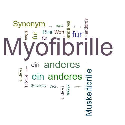 Ein anderes Wort für Myofibrille - Synonym Myofibrille