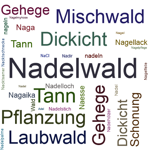 Ein anderes Wort für Nadelwald - Synonym Nadelwald