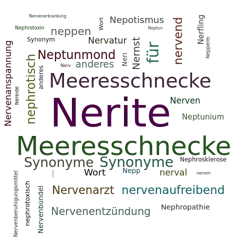 Ein anderes Wort für Nerite - Synonym Nerite