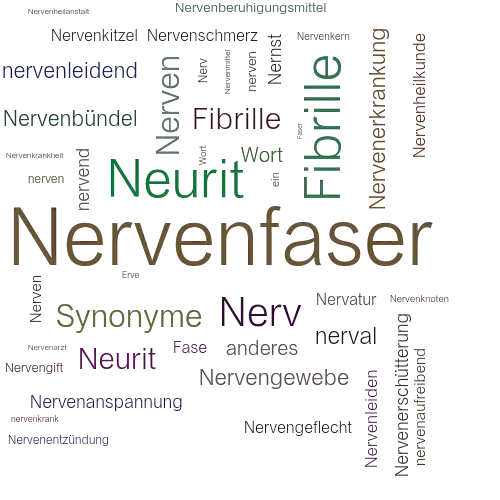 Ein anderes Wort für Nervenfaser - Synonym Nervenfaser