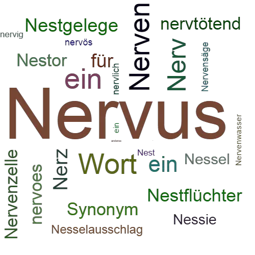 Ein anderes Wort für Nervus - Synonym Nervus