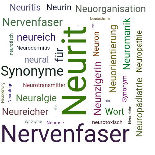 Ein anderes Wort für Neurit - Synonym Neurit