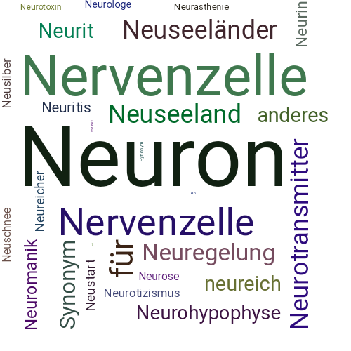 Ein anderes Wort für Neuron - Synonym Neuron