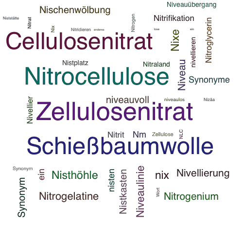 Ein anderes Wort für Nitrozellulose - Synonym Nitrozellulose