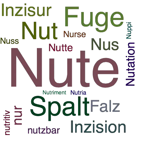 Ein anderes Wort für Nute - Synonym Nute
