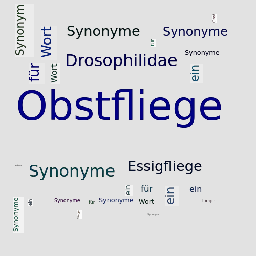 Ein anderes Wort für Obstfliege - Synonym Obstfliege