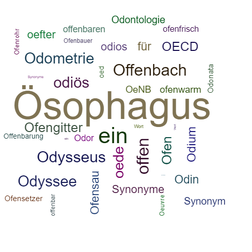 Ein anderes Wort für Oesophagus - Synonym Oesophagus
