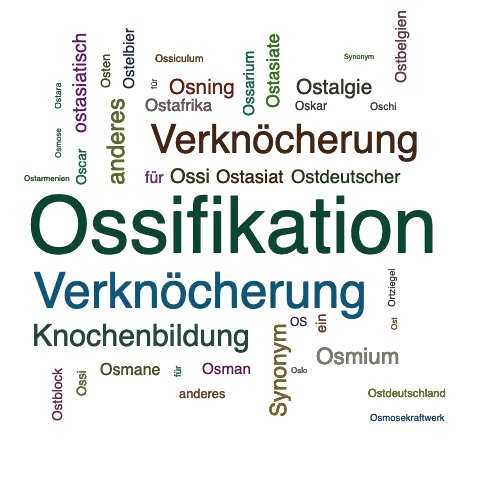 Ein anderes Wort für Ossifikation - Synonym Ossifikation