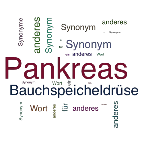 Ein anderes Wort für Pankreas - Synonym Pankreas