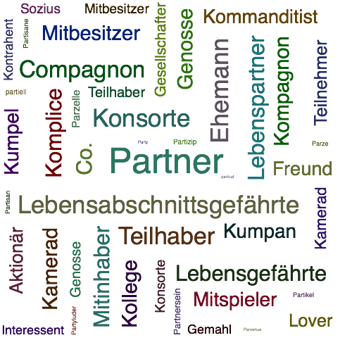 Ein anderes Wort für Partner - Synonym Partner