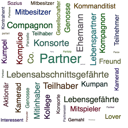 Ein anderes Wort für Partner - Synonym Partner