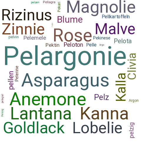 Ein anderes Wort für Pelargonie - Synonym Pelargonie